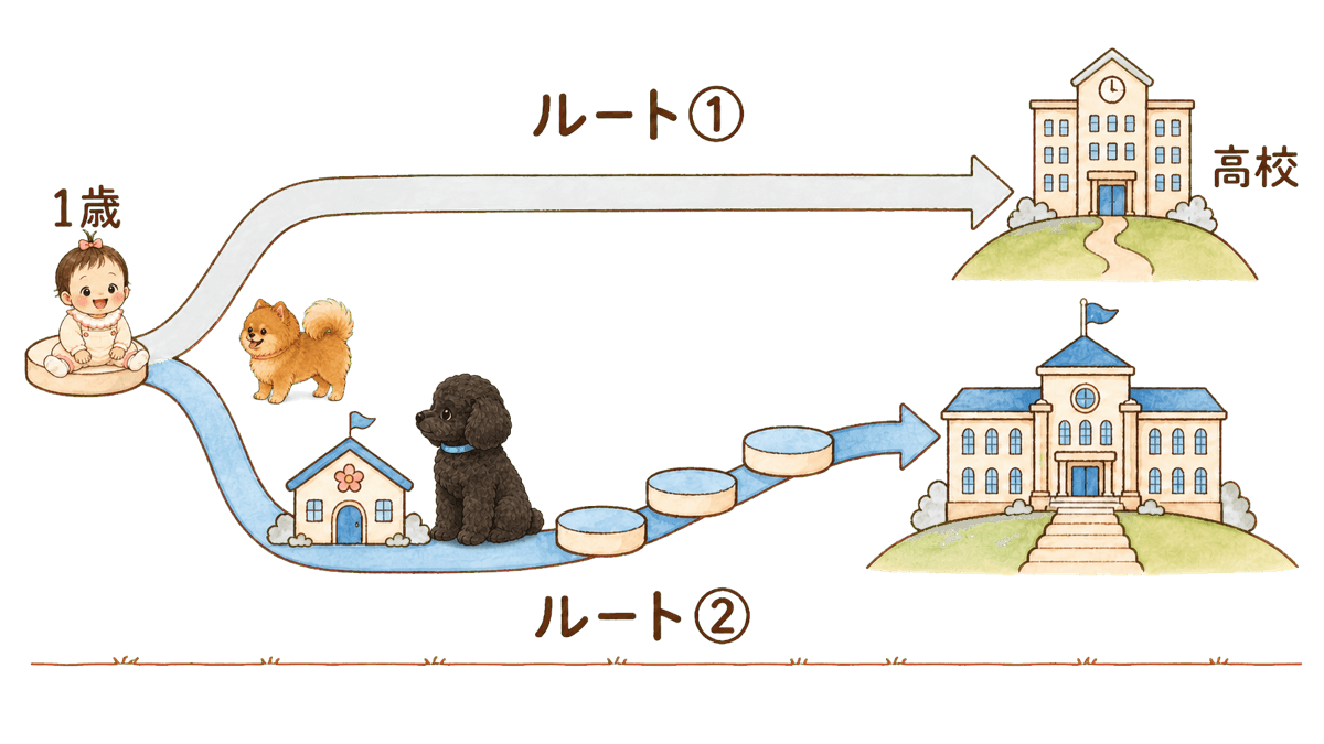 1歳から始まる2つの進路ルートの図。1歳の台に座る女の子と2匹の犬を起点に、上のルート①は一貫校へまっすぐ、下のルート②はプレスクールから階段を上ってトップK-12へ